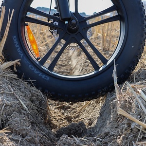 <span class=keywords><strong>Prix</strong></span> bon marché Ncyclebike 20 pouces 350W 500W 750W 36V 48V 10AH 15AH 20AH Vélo électrique pliable Shimano à 7 vitesses Vélo électrique à gros pneus - Product Image 4