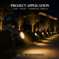 Projecteur Solaire Extérieur pour Projets de Paysagisme de Complexes Hôteliers IP65 Réglable sur Piquet OEM ODM Direct Usine Zhongshan