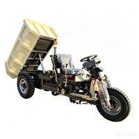 Tricycle cargo diesel chinois économique de 2,5 tonnes, 3 roues, pour usage agricole et d'ingénierie, modèle ZL250II avec pompe à moteur et roulement d'engrenage
