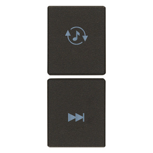 Deux interrupteurs à distance noirs 1M Source Track Half Keys - Product Image 1