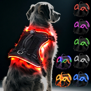 فاخر مزخرف عاكس مضيء بضوء LED ، موضة أمان ليلي وامض ، تسخير كلب ليد - Product Image 1