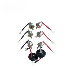 Diode rotative Rsk2001 <span class=keywords><strong>Redresseur</strong></span> rotatif <span class=keywords><strong>Redresseur</strong></span> Set Générateur <span class=keywords><strong>Pont</strong></span> à diodes rotatives Rsk2001pont à diodes Rsk2001 - Product Image 4