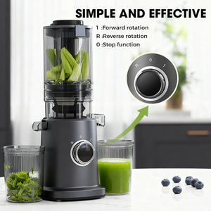 Yeni Tasarım Soğuk Sıkım Meyve Sıkacağı, Yavaş Çiğneyen Ticari Meyve ve Sebze Sıkacağı Makinesi - Product Image 6