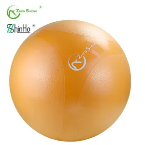 Pump Ball Zhensheng 20cm 25cm 55cm 65cm 75cm Anti Slip Gym Pilates Ball With Pump