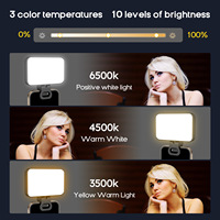 Lampe LED de bureau mini très populaire pour selfie et beauté, idéale pour le streaming en direct et TikTok, avec interrupteur de contrôle et fonction veilleuse