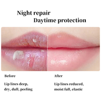 Custom Schattige Cartoon Balvormige Lippenbalsem Private Label Spf Veganistische Biologische Natuurlijke Lippenbalsemcrème Voor Vrouwen