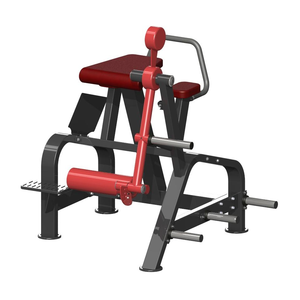 Placa de gama completa Sparda de fábrica, equipo de gimnasio comercial cargado, HIPEREXTENSIÓN INVERSA - Product Image 1