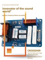Filtre Répartiteur Audio PA215 2 Voies 12-15 Pouces 500W 8Ω en Cuivre pour Haut-Parleurs (Aigus/Bas)
