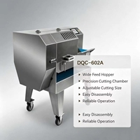 DQC-602A Commerciële Groente- en Vlees Snijmachine 1-60mm Verstelbare Snijder voor Restaurant en Voedselverwerkingsbedrijven