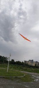 2026 Nuevo Cometa Personalizado de Fábrica, Fácil de Volar, Más Vendido, Grande, Cometa Cuchillo Pájaro 4m - Product Image 6