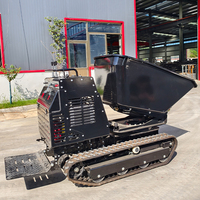 Chargeur de décharge de chenille d'utilisation de construction 1.2 tonnes avec le moteur diesel puissant avec le système hydraulique Micro petit dumper