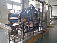 Sus304/316 Volledige Avocado-Verwerkingslijn Avocado/Palta/Alpukat Pulp Avocadosap Verwerkingsmachine Fruitverwerkingsmachine
