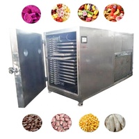 50Kg 5m2 Kleinschalige Thuis Commerciële Vacuüm Voedsel Spray Vriesdroger Groente Fruit Lyofilisator Machine Voor Snoep Snoep