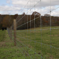 Rouleaux de grillage galvanisé écologique pour bétail, clôture de sécurité pour ferme, chevaux, bovins, champ, avec nœuds fixes pour cerfs