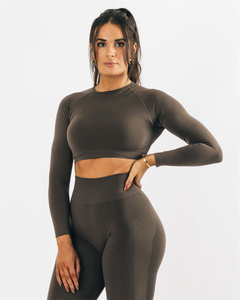Camiseta Deportiva de <span class=keywords><strong>Manga</strong></span> <span class=keywords><strong>Larga</strong></span> para Mujer, Cuello Redondo, Sin Costuras, Transpirable, Elástica, Corta, Duradera y Cómoda, para Pilates, Yoga y Gimnasio, OEM/ODM - Product Image 6