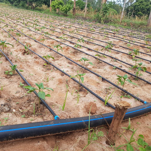 <span class=keywords><strong>Sistema</strong></span> de <span class=keywords><strong>riego</strong></span> <span class=keywords><strong>por</strong></span> <span class=keywords><strong>goteo</strong></span> diseñado para agricultura, 2 ha - Product Image 2