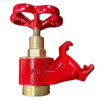 Vanne d'hydrant DN40, connecteurs à double colonne sèche pour conduite d'incendie