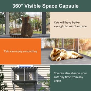 Amaca per Gatti da Finestra Grande per Interni, Postazione per Prendere il Sole e Riposare con Vista Panoramica, per Gatti che Godono <span class=keywords><strong>in</strong></span> <span class=keywords><strong>Sicurezza</strong></span> delle Scene Esterne - Product Image 5