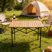Tragbarer Klappbarer Camping-Tisch mit Ei-förmigem Design Leichtgewichtiger und Platzsparender Aluminium-Camping-Tisch
