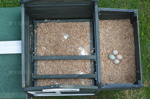 国内の屋外裏庭大きな木製の大きな鶏ケージ産卵鶏木製ペットハウスチキンコープ - Product Image 5