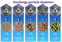 Machine à granulés d'aliments pour animaux de ferme, petite presse à granulés à matrice plate de 50 à 100 kg/h, pour la fabrication d'aliments pour volailles et bétail