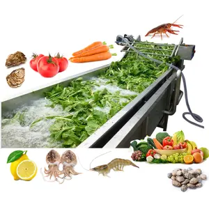 Beet Apple Tilting Wild Vegetable Washer Ultrasonic Tea Leaf Clean Strawberry Wash Machine In India