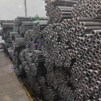 Varilla de Anclaje Autoperforante Galvanizada para Presoporte en Túneles de Minería de Carbón, Estándar ASTM, Acero al Carbono Aleado, 51mm de Diámetro Exterior