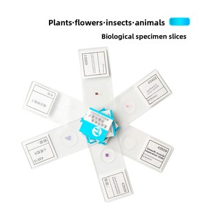 Raíz de maíz, Piel de ranita, Punta de raíz de <span class=keywords><strong>cebolla</strong></span>, Hígado, Célula epidérmica animal turbelariana, Estomato de hoja - Product Image 1