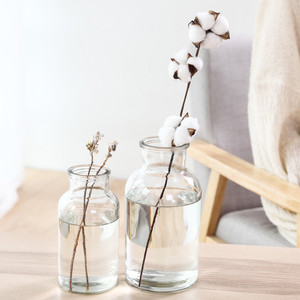 Fornitore di <span class=keywords><strong>vasi</strong></span> in vetro trasparente ambrato vaso <span class=keywords><strong>per</strong></span> bottiglie di piccole <span class=keywords><strong>piante</strong></span> in vetro <span class=keywords><strong>vasi</strong></span> in vaso di vetro floreale in <span class=keywords><strong>vendita</strong></span> - Product Image 3