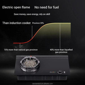 2025 di recente alta tecnologia all'ingrosso cucina 5000W utensili da cucina con fiamma casa elettrica stufa completamente elettrica
