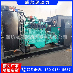 Grupo Electrógeno de Turbina de Gas Weifang de 120kW, 380/220V, Unidad de Energía Industrial de Biogás - Product Image 3