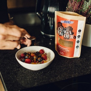 OEM/ODM Polvo de Hongo Chaga, Mezcla Instantánea de Café con Hongos, con Melena de León - Product Image 5