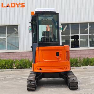 Mini Escavadora com Frete Grátis, Motor Personalizado, Escavadeira Pequena de Esteira de 3,5 Toneladas com Garra Euro 5 Ce Epa para Jardim, Fazenda e Casa - Product Image 5