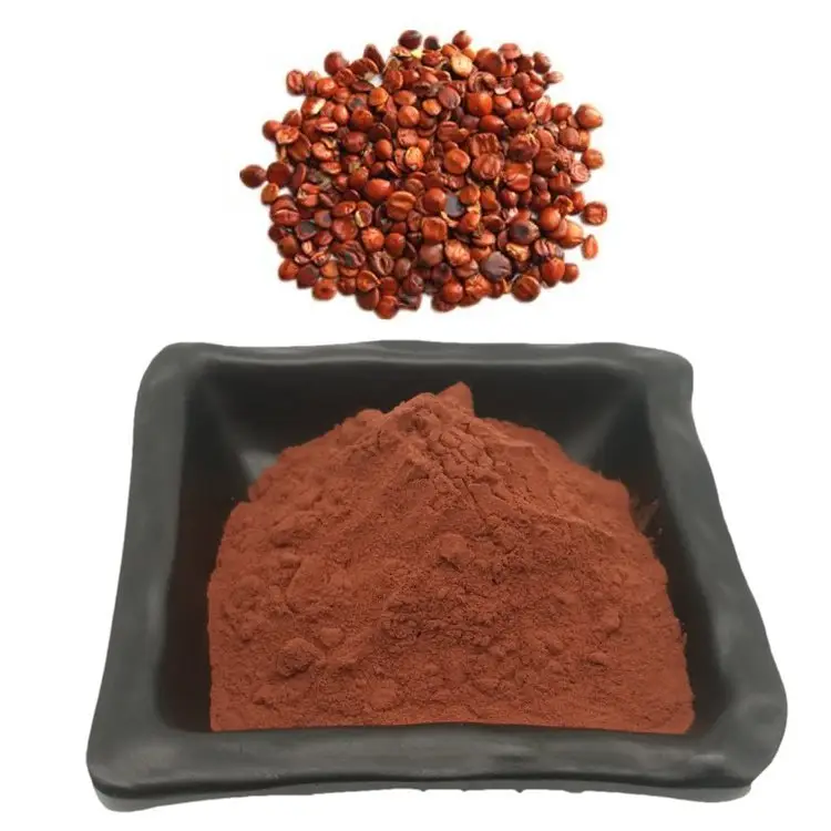 Seme di alta qualità Ziziphi Spinosae estratto di polvere saponine 2% estratto di semi di giuggiola selvatica