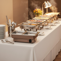Réchaud électrique rectangulaire en acier inoxydable LT-329, ensemble de plats chauds isolés, buffet, présentoir alimentaire, prix, ensemble de réchauds alimentaires, traiteur.