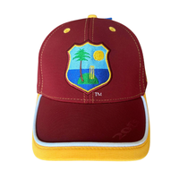 Casquette de cricket marron avec écusson d'équipe brodé, logo personnalisé, style vintage sportif, visière incurvée réglable à double couche, casquette de baseball