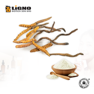 ผู้จัดจำหน่ายที่เชื่อถือได้จากมาเลเซีย Ophiocordyceps sinensis LiGNO OCS02 วัตถุดิบชีวภาพบริสุทธิ์ เหมาะสำหรับวิตามินรวมประจำวัน - Product Image 1