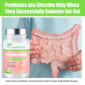 Capsules de probiotiques à marque privée pour la santé digestive et immunitaire, complexe de culture avec supplément de Lactobacillus et Bifidobacterium - Product Image 6