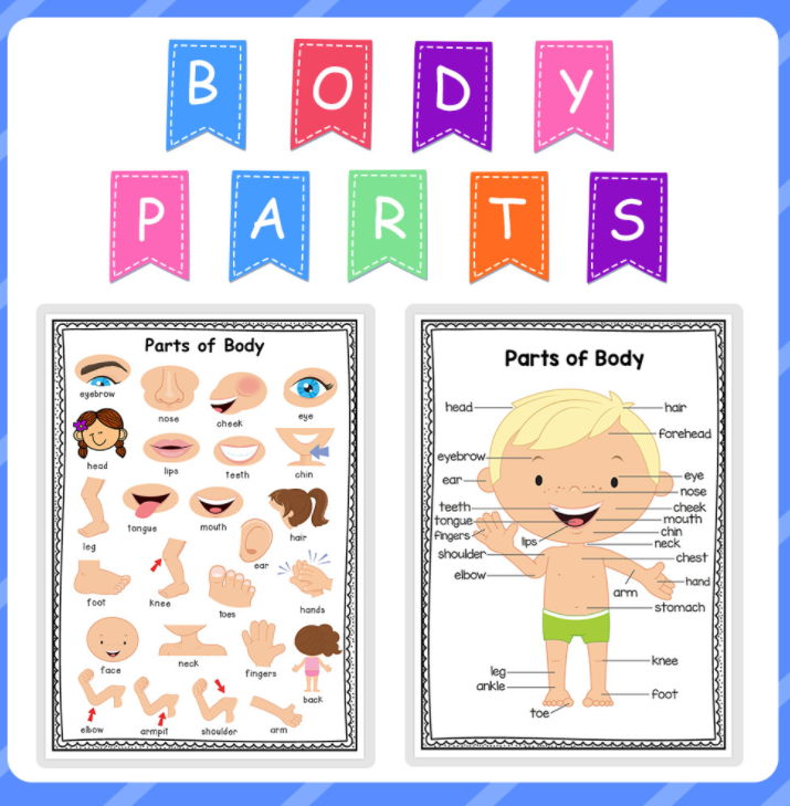 Customized Learning Classroom Decorations Posters Parts