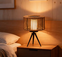 Lampe de bureau décorative en rotin à énergie solaire, tissée à la main, étanche et anti-poussière IP65, lampe de bureau solaire à LED sur pied