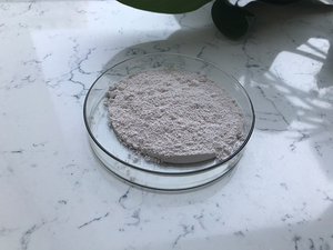 Ingrediente Antiossidante Epigallocatetina Gallato 98% EGCG in Polvere - Product Image 3