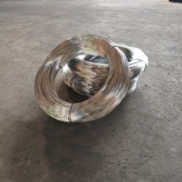Alambre de Acero Electrogalvanizado para Atar y Amarrar
