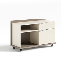 Meubles de bureau modernes modulaires en MDF, armoire de rangement mobile à 2 tiroirs pour l'école, l'entrepôt, l'hôtel