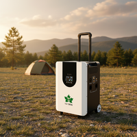 Batterie solaire au lithium personnalisable, nouvelle et très vendue, système de stockage d'énergie tout-en-un, batterie LiFePO4
