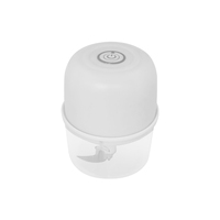 Hachoir et batteur à ail portatif mini en acier inoxydable avec recharge USB