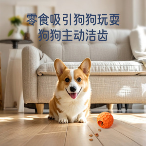 Food Dispensing <b>Ball</b> <b>Dog</b> Toy Orange Rubber Interactive Puppy Teething Toy - Product Image 2