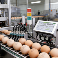 Impresora de Huevos Más Vendida, Docod T600, 6 Cabezales, Impresora Industrial de Inyección de Tinta Térmica en Línea para Impresión de Número de Lote en Huevos