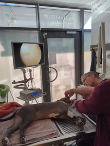 360 độ có thể điều chỉnh thú y nội soi đứng tháp di động nội soi Xe đẩy giỏ hàng - Product Image 2