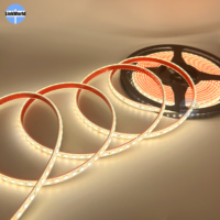 Bande LED étanche sous-marine 24V SMD2835 120 LED/m haute luminosité en silicone pour éclairage paysager de piscine