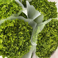 Hochzeitsblume Anpassbare Farbe Konservierte Blume Haltbare Hortensie für Hochzeit Feiertage Muttertag Weihnachten